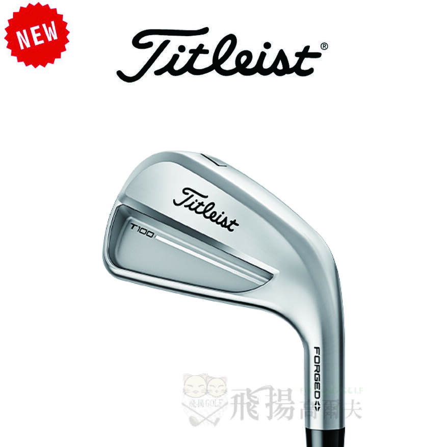 【飛揚高爾夫】'25 Titleist T100 Forged鐵桿 #4-P ,鐵身NSPRO 880 AMC(亞規)
